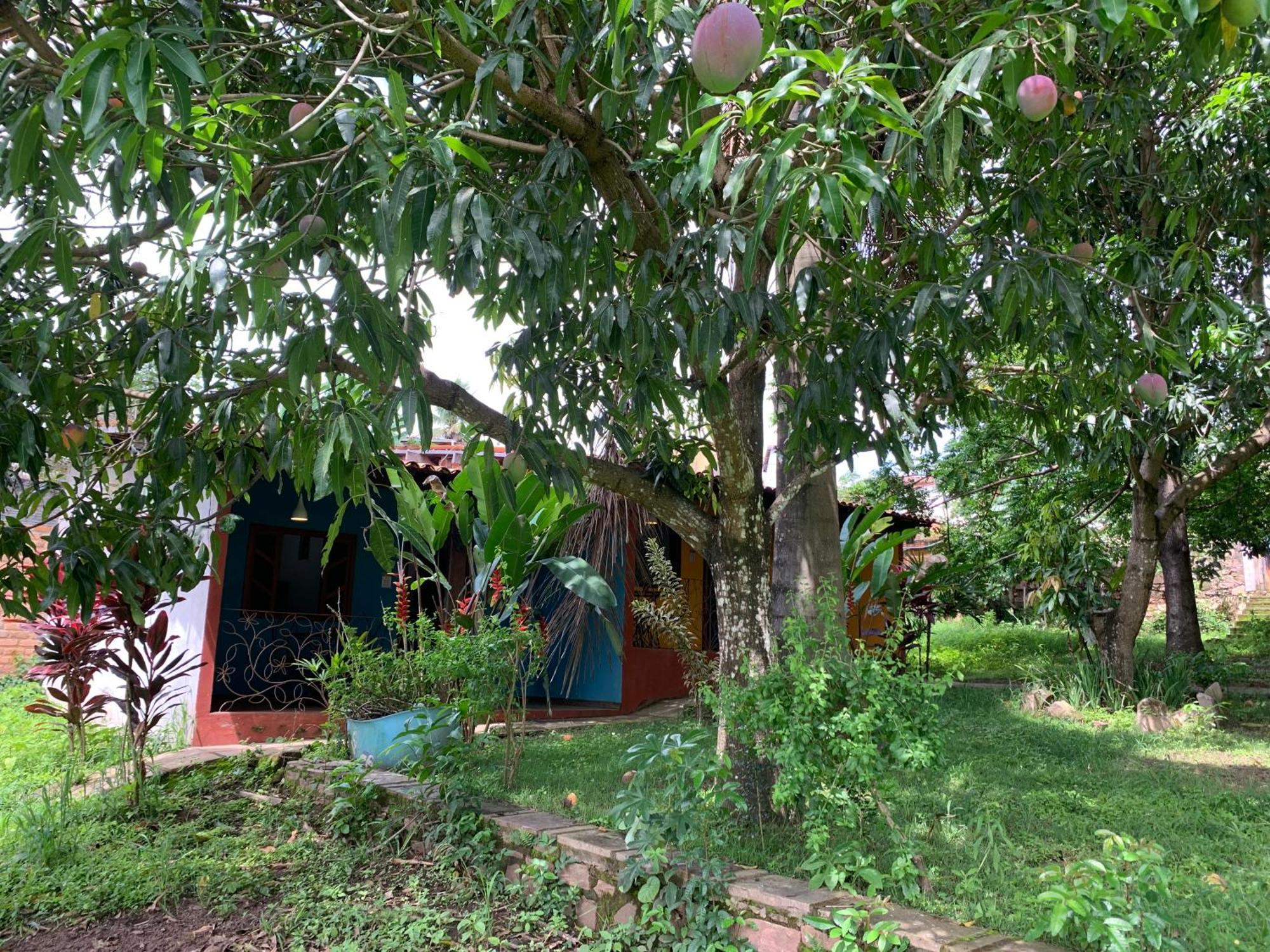 Pousada E Camping Lumiar Lencois Buitenkant foto